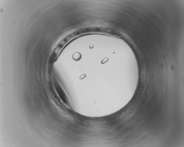 X0000052540722200507291849