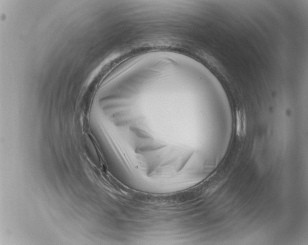 X0000052540723200507291849