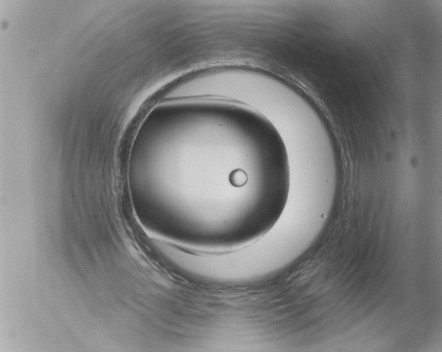 X0000052540724200507291849