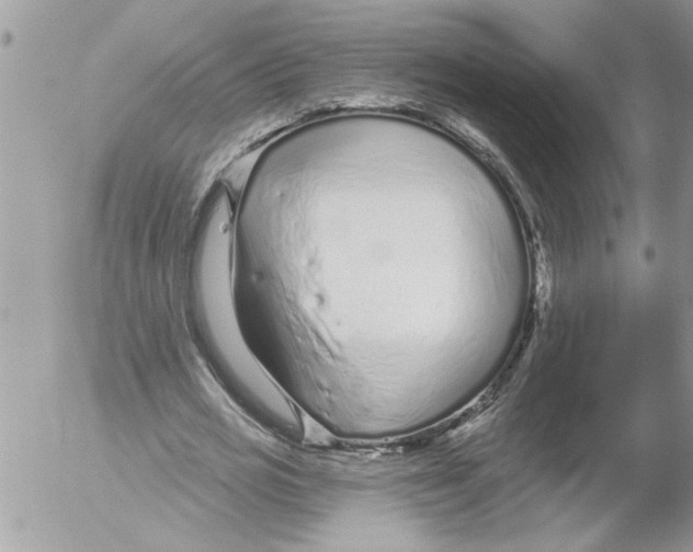 X0000052540725200507291849