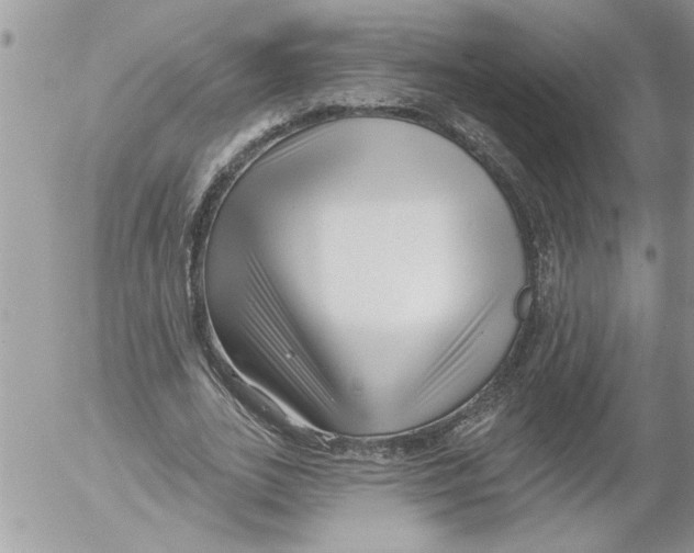 X0000052540727200507291850