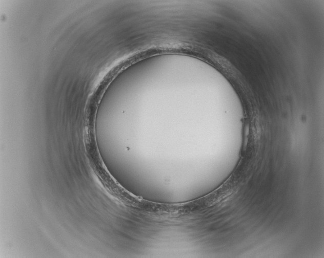 X0000052540728200507291850