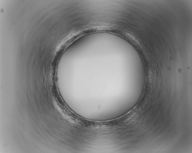 X0000052540730200507291850