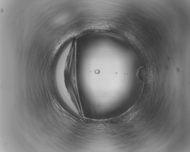 X0000052540731200507291850