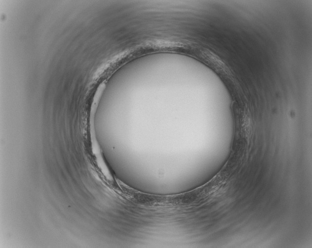 X0000052540732200507291850