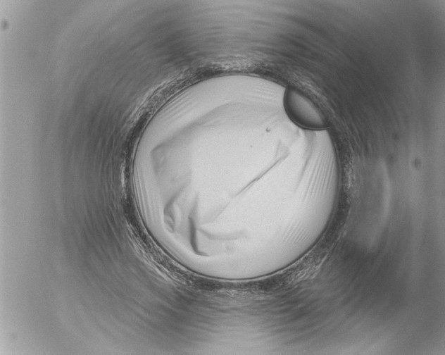 X0000052540733200507291850