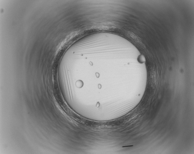 X0000052540734200507291850