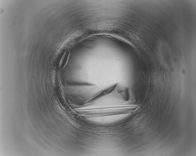 X0000052540735200507291850