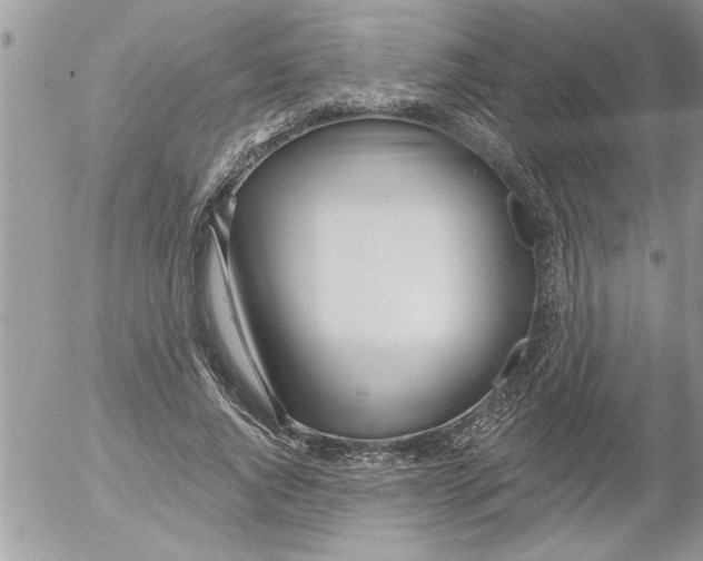 X0000052540736200507291850