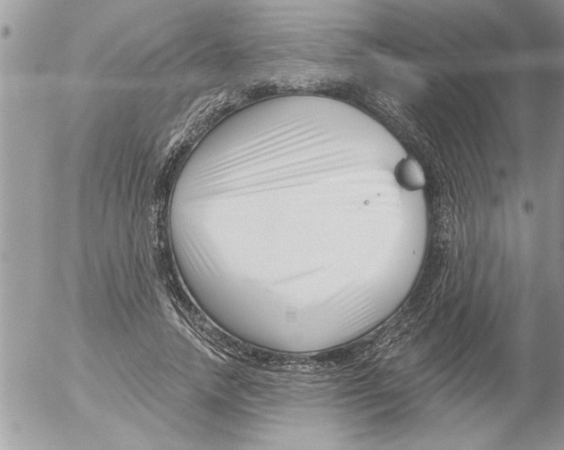 X0000052540738200507291850