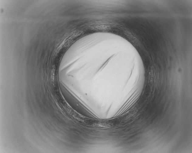 X0000052540739200507291850