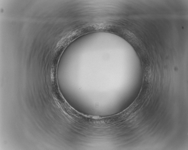 X0000052540740200507291850