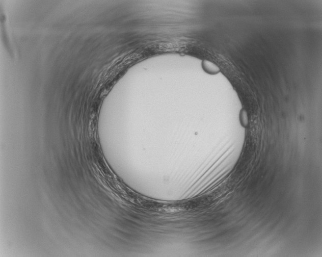 X0000052540741200507291850