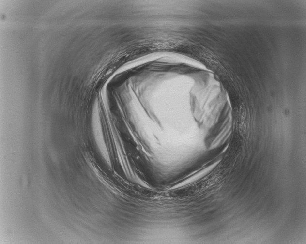 X0000052540742200507291850