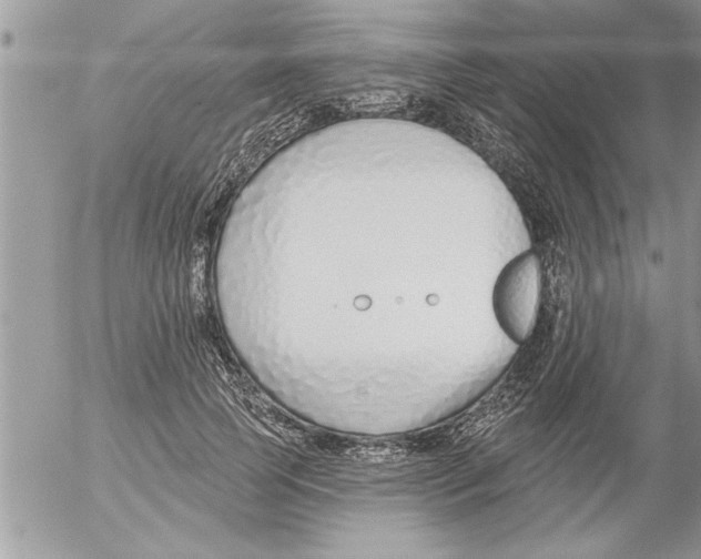 X0000052540745200507291850