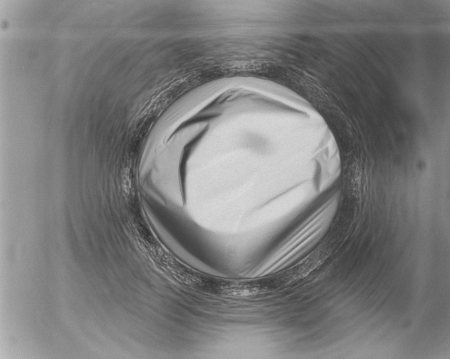 X0000052540746200507291850