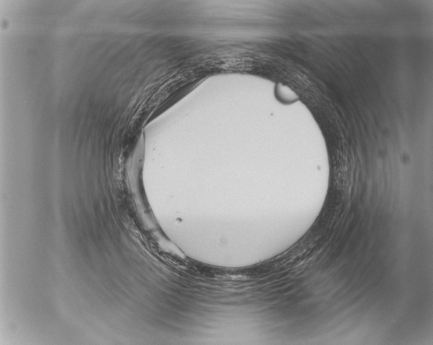 X0000052540748200507291850