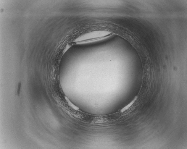 X0000052540750200507291850