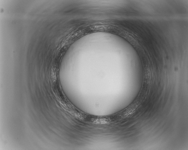 X0000052540751200507291850