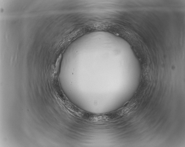 X0000052540752200507291850