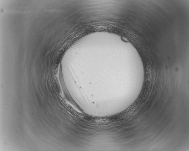 X0000052540753200507291850