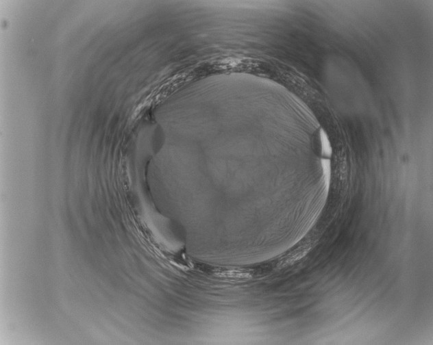 X0000052540754200507291850