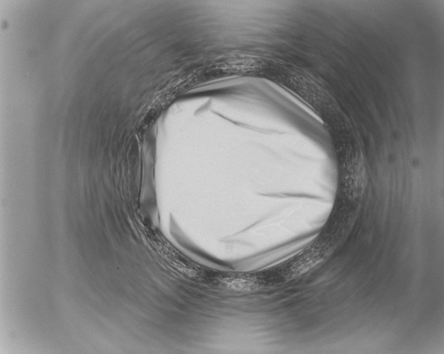 X0000052540755200507291850