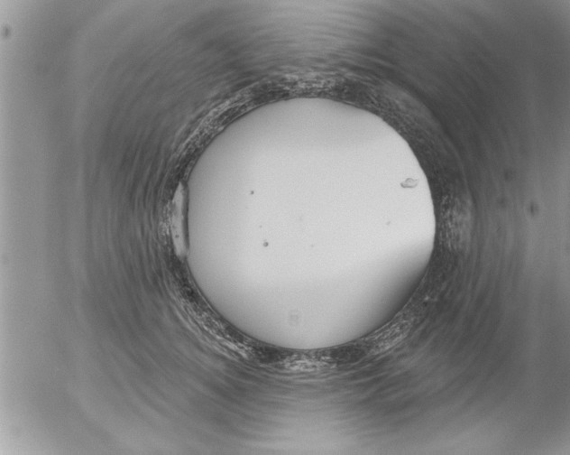 X0000052540756200507291850