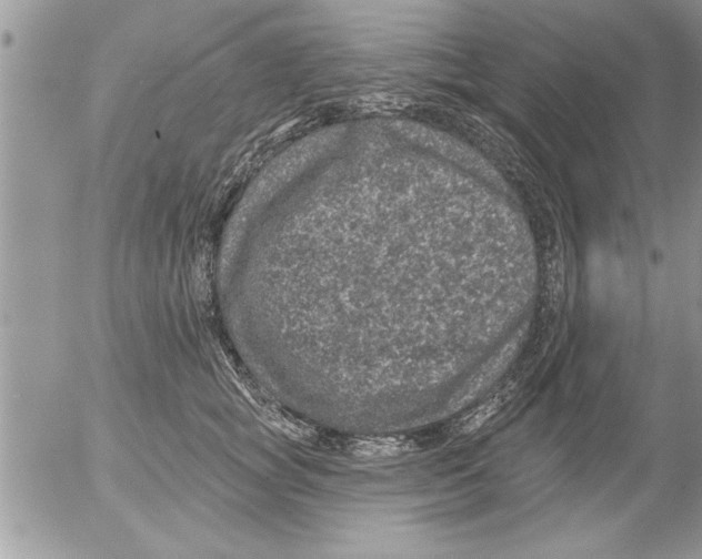 X0000052540757200507291850