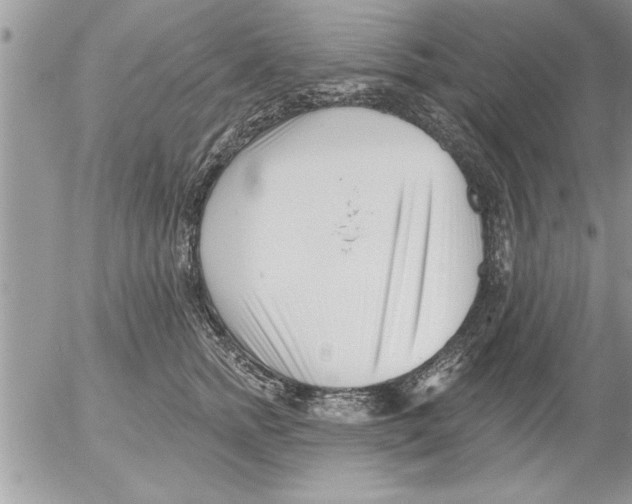 X0000052540758200507291850