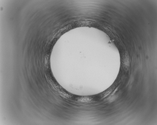 X0000052540759200507291850