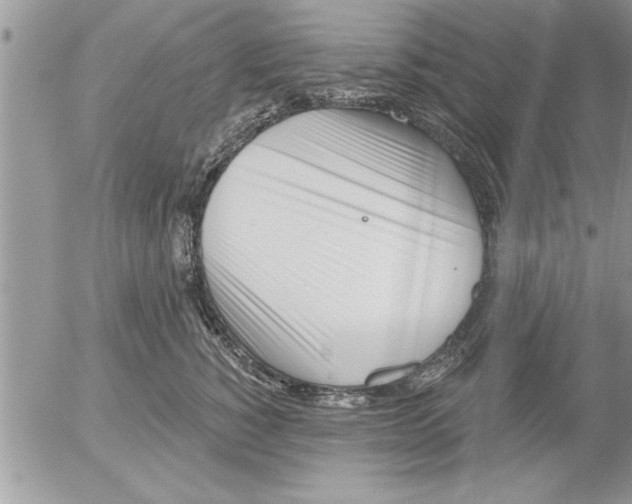 X0000052540760200507291850