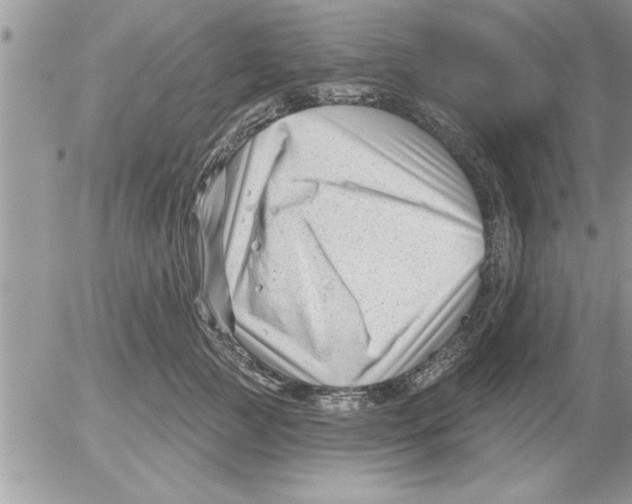 X0000052540761200507291850