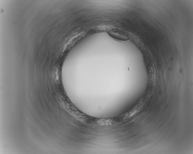 X0000052540762200507291850