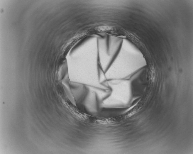 X0000052540763200507291850