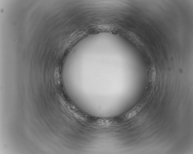 X0000052540764200507291850