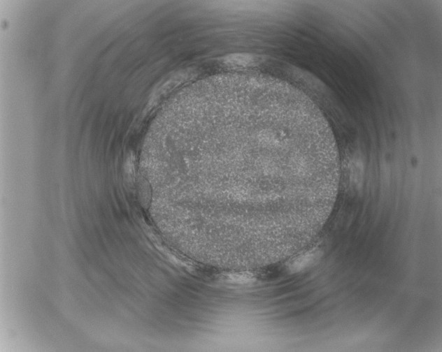 X0000052540765200507291850