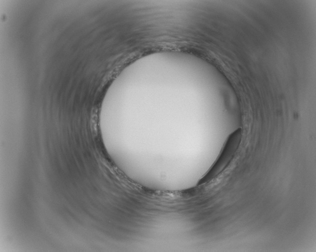 X0000052540768200507291850