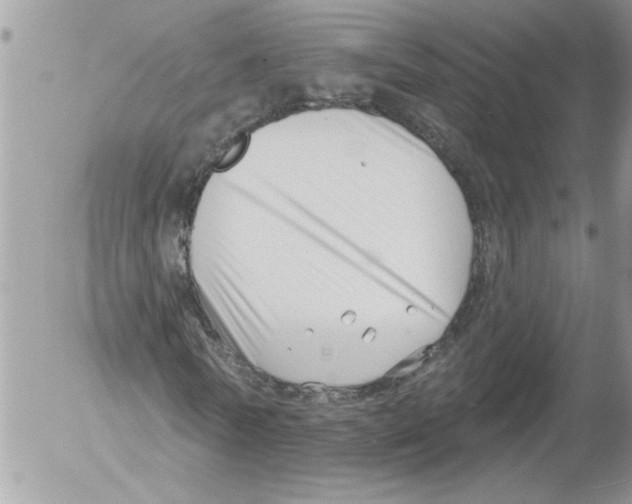 X0000052540770200507291849