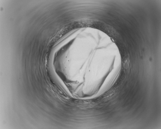 X0000052540772200507291849