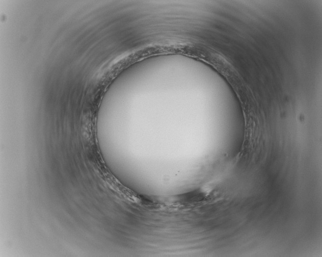 X0000052540773200507291849