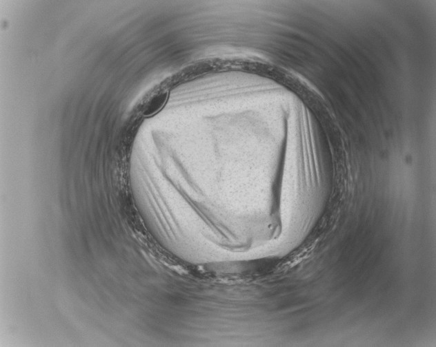 X0000052540775200507291849