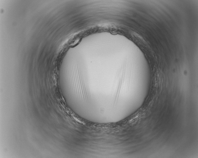 X0000052540776200507291849