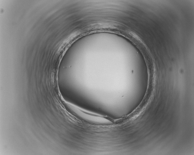 X0000052540777200507291849