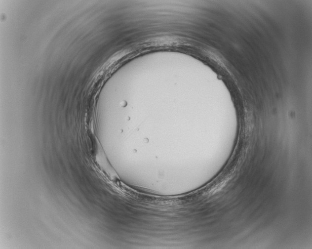 X0000052540778200507291849