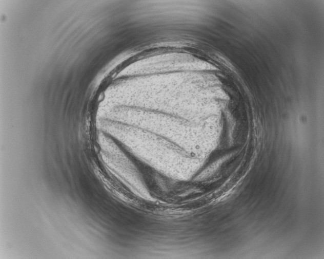 X0000052540779200507291849