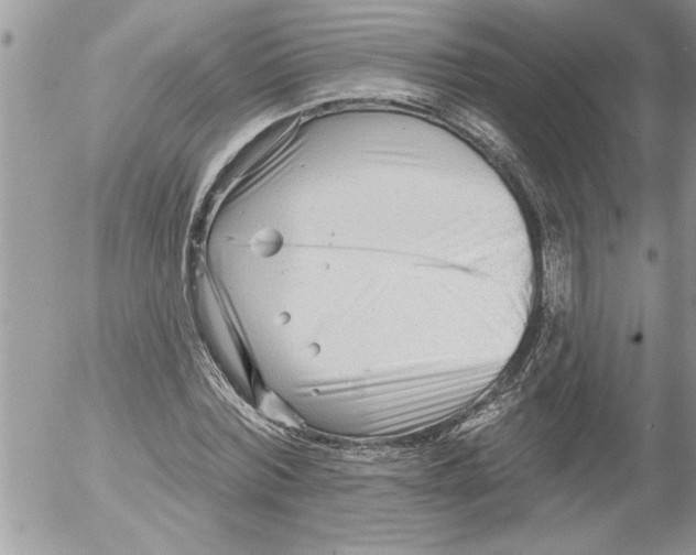 X0000052540780200507291849