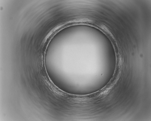 X0000052540781200507291849