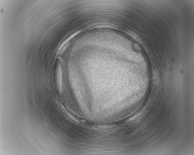 X0000052540782200507291849