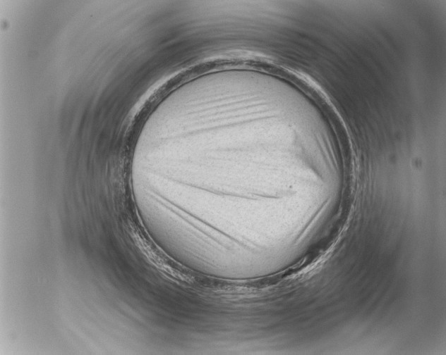 X0000052540783200507291849